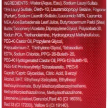 Body Philosophy гель для душу Elixir Rouge Elixir 250мл — Фото 3